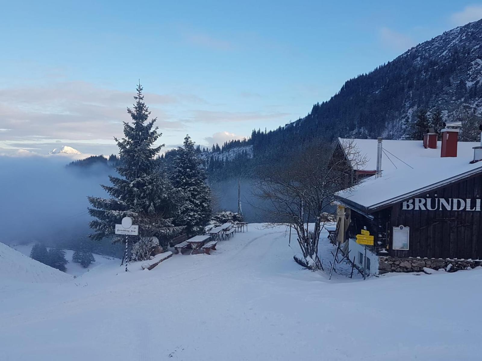 Bruendling-Alm Berggasthof Auf 1167M Auf Dem Hochfelln Bergen  Exterior foto